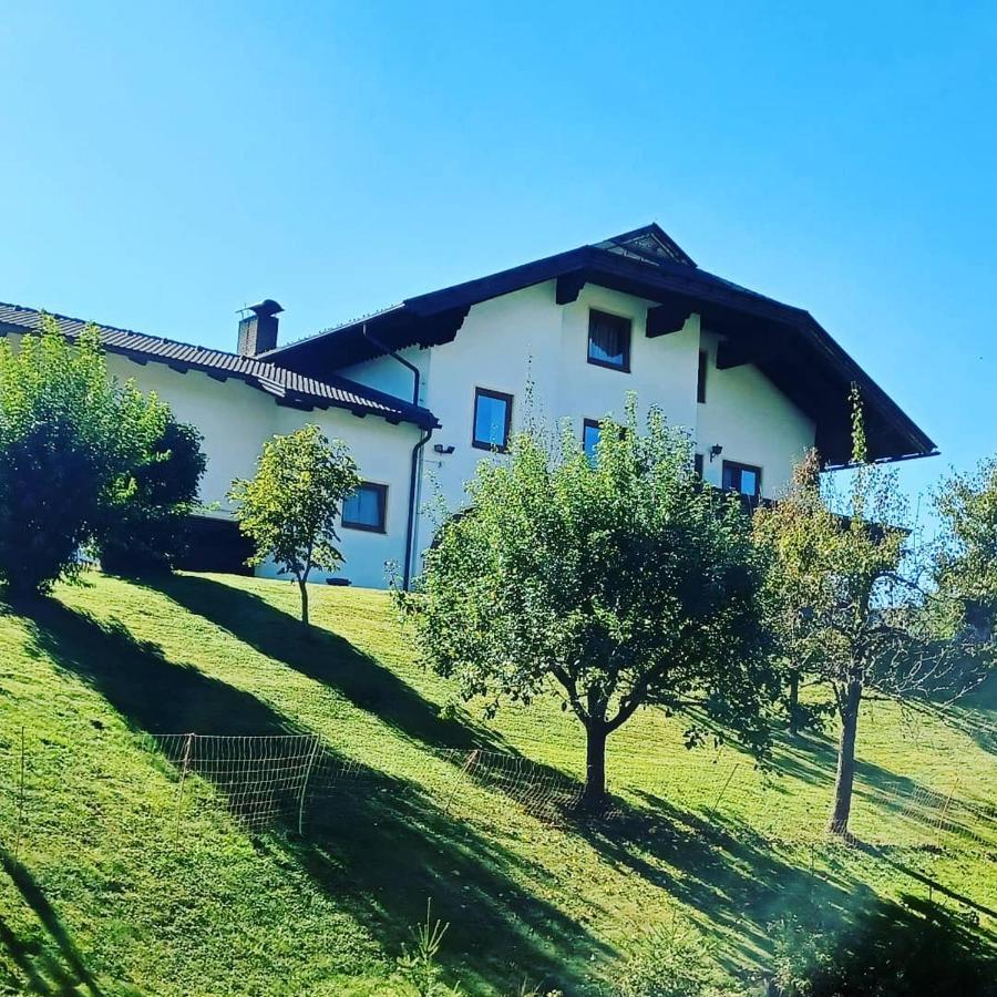 Ferienwohnung Schaller Feistritz an der Drau 외부 사진