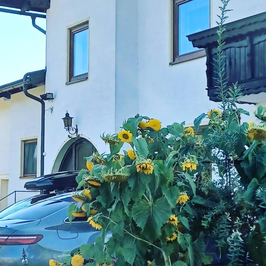 Ferienwohnung Schaller Feistritz an der Drau 외부 사진